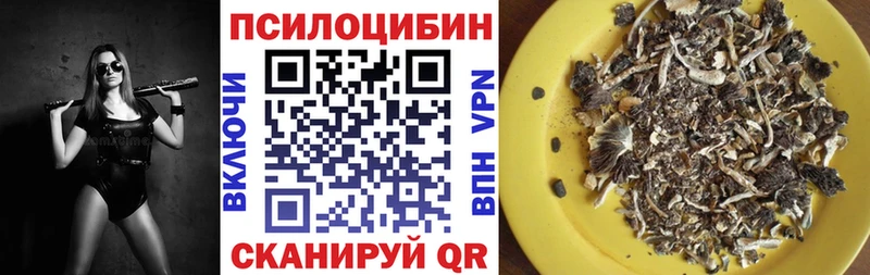 Псилоцибиновые грибы Cubensis закладки Абаза