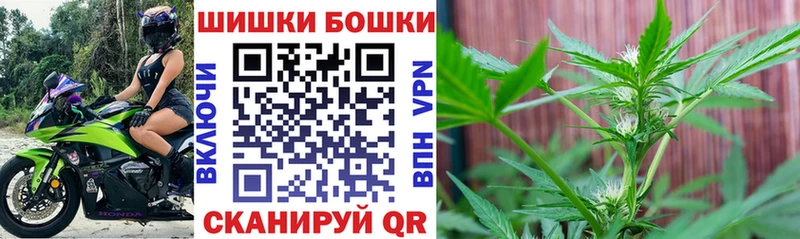 Бошки марихуана конопля  магазин продажи   Абаза 
